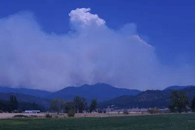 DSC_1866 (Large).JPG